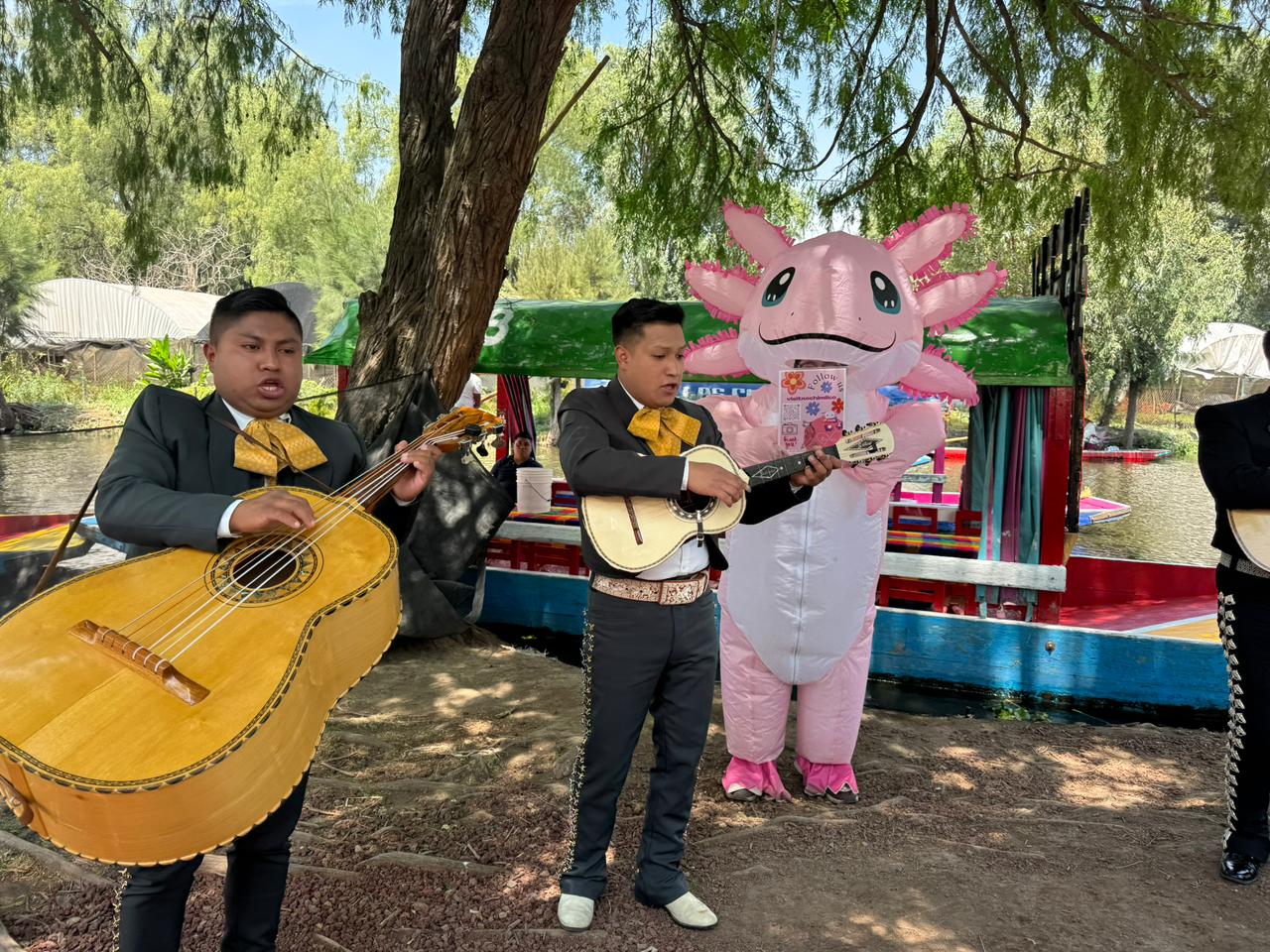 Canción de mariachi*